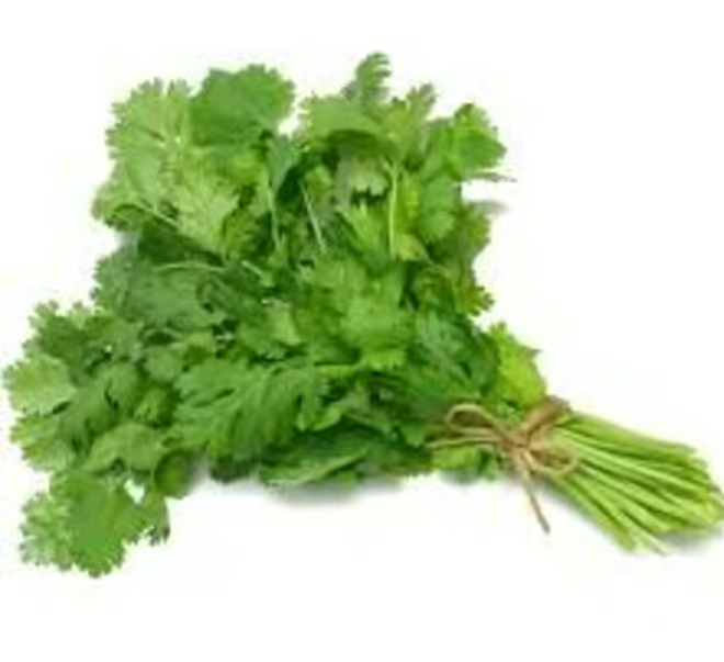 TFM Coriander-Bunch ea