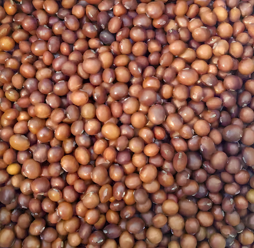 Sagoon Beans 500g Brown-Soya