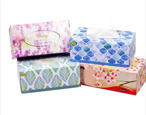 Eternity Facial-Tissues ea 180pk